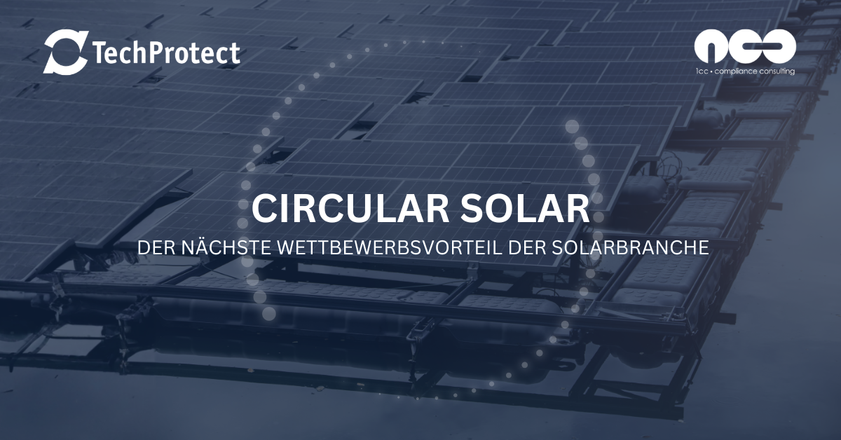 Circular Solar: Wer die Kreislaufwirtschaft gewinnt, gewinnt den Kunden von morgen