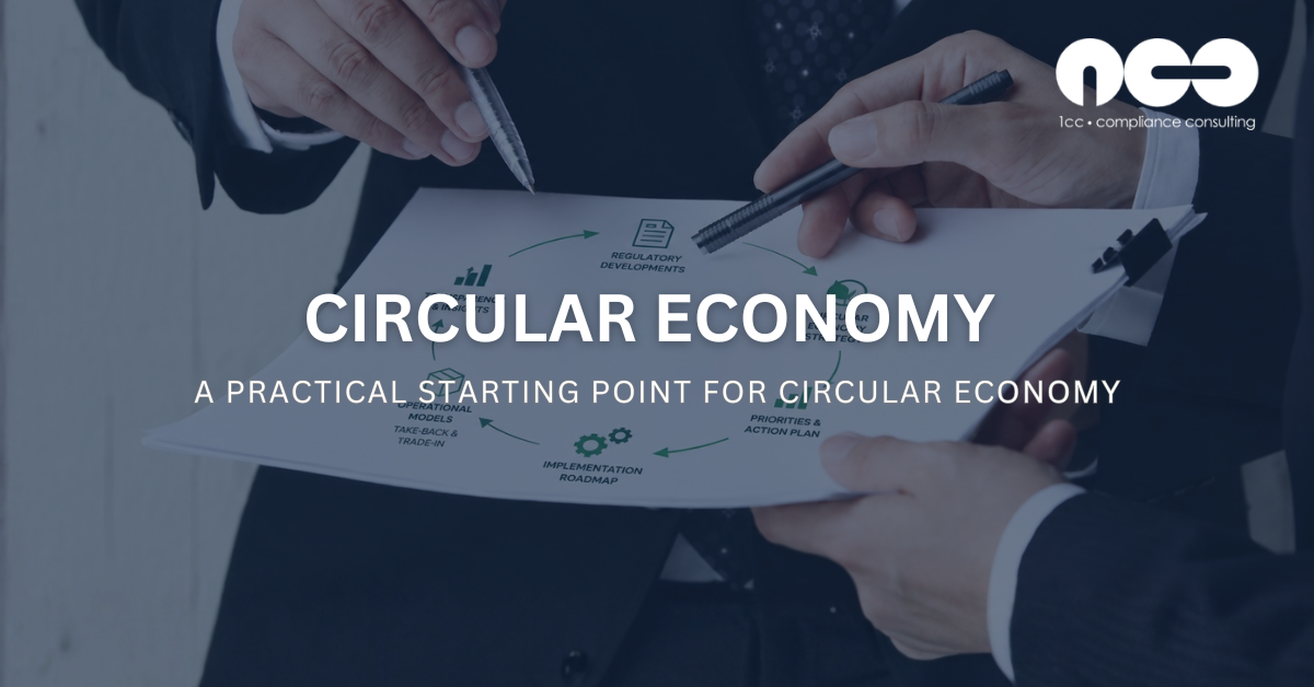 From Buzzword to Strategy: Making Circular Economy Actionable